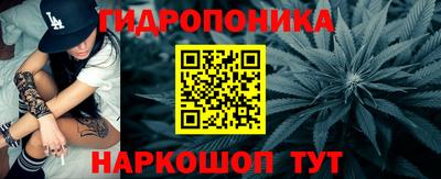 jwh Будённовск