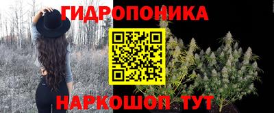 гидропоника Бугуруслан