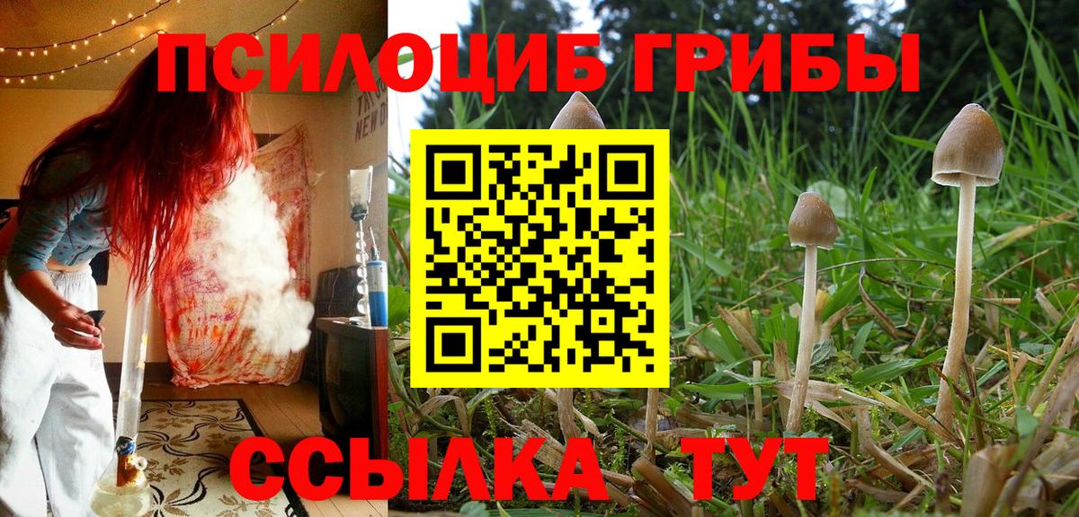 Галлюциногенные грибы GOLDEN TEACHER Севастополь
