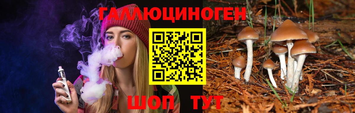 Галлюциногенные грибы Cubensis  Вход с VPN  Севастополь 